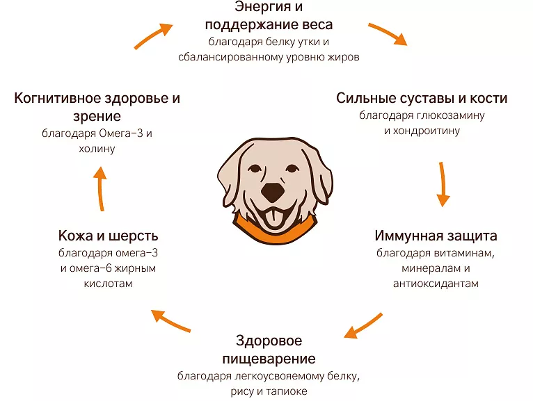 Уникальная формула