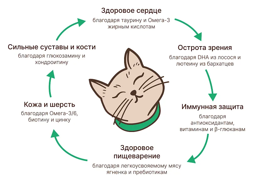 Уникальная формула