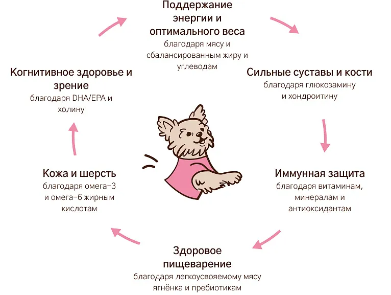 Уникальная формула