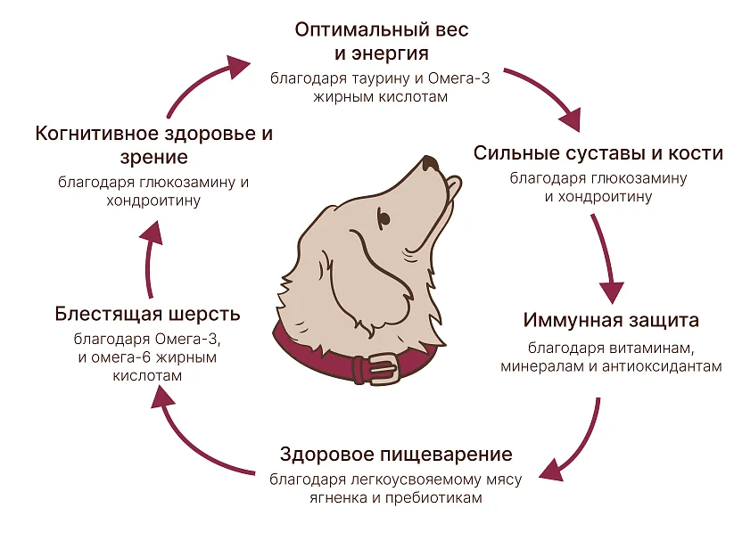 Уникальная формула